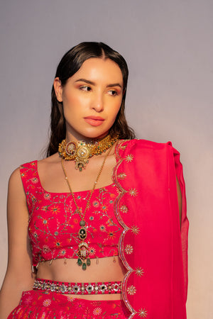 Hot Pink Printed And Embroidered Lehenga Set image 6