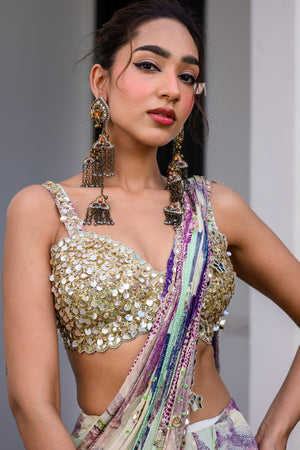 Eden Highlighted Saree Paidwan with Hand Embroidered Blouse image 1