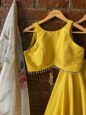 Yellow Lehenga Set with Hand Painted Dupatta image 3