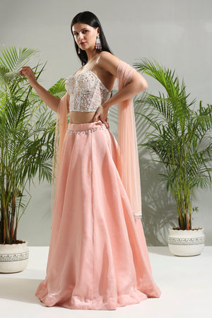 Peach and Ivory Corset Set image 4