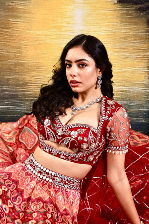 Noor Lehenga Set image 1