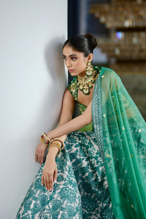 Alvira Lehenga Set image 3