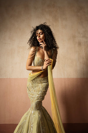 Fish Style Sage Green & Yellow Hand Embroidered Net and Georgette Fishtail Saree - M image