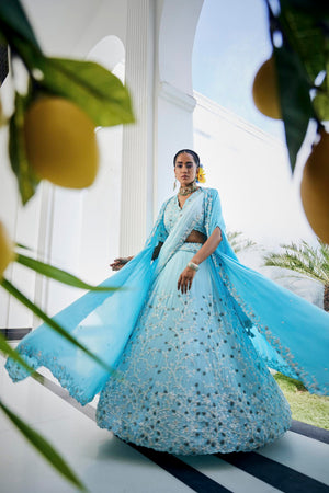 Blue Cape Lehenga Set image 5
