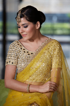 Mustard Net Saree with Mirror Blouse image 2