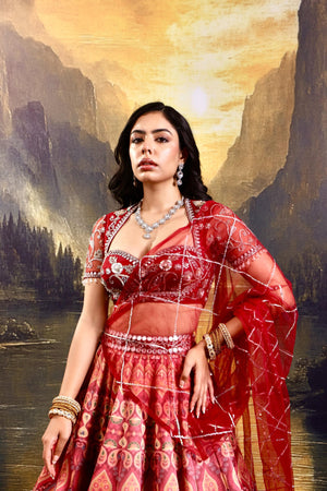 Noor Lehenga Set image 5
