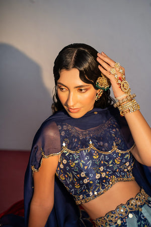 Royal Blue Printed and Embroidered Lehenga Set image 2