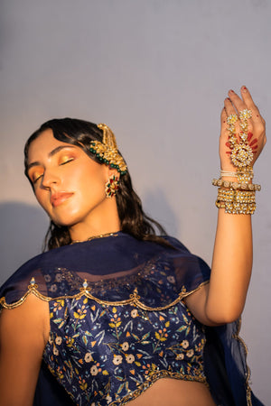 Royal Blue Printed and Embroidered Lehenga Set image 3