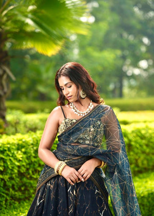Meesha Lehenga Set image 4