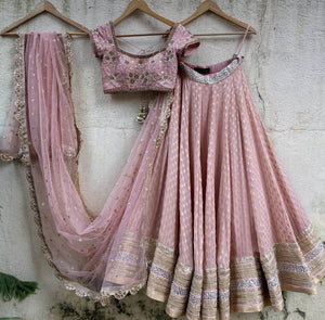 Nude Pink Embroidered Lehenga Set - Custom image
