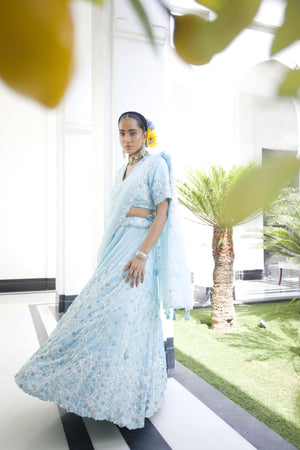 Blue Cape Lehenga Set image 2