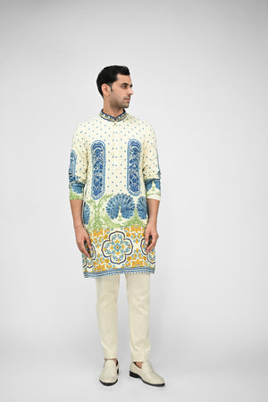 Royal Peacock Printed Kurta Full Set image 3
