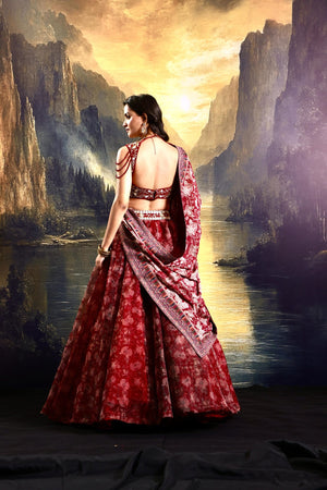 Khoob Lehenga Set image 4