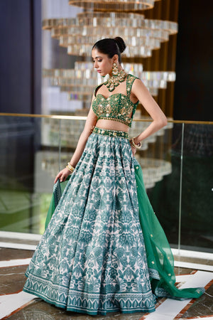 Alvira Lehenga Set image 8