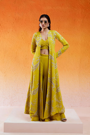 Long Jacket Sharara Set image 4