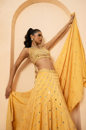 Golden Mirror and Pearl Embellished Lehenga image 4