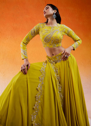 Daisy Yellow Embroidered Lehenga Set image 3