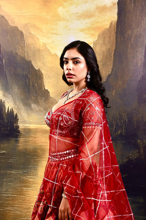 Noor Lehenga Set image 6