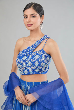 The Bluebell Lehenga set image 1