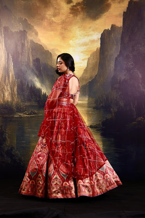Noor Lehenga Set image 4