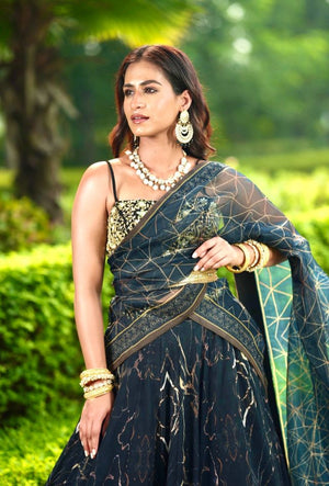 Meesha Lehenga Set image 5