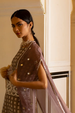 Grey Printed Jumpsuit With Organza Shrug image 5