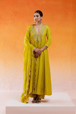 Daisy Yellow Embroidered Anarkali Suit - S image