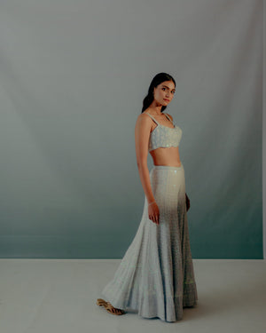 Baby Blue Lucknowi Sequin Saree Set image 4