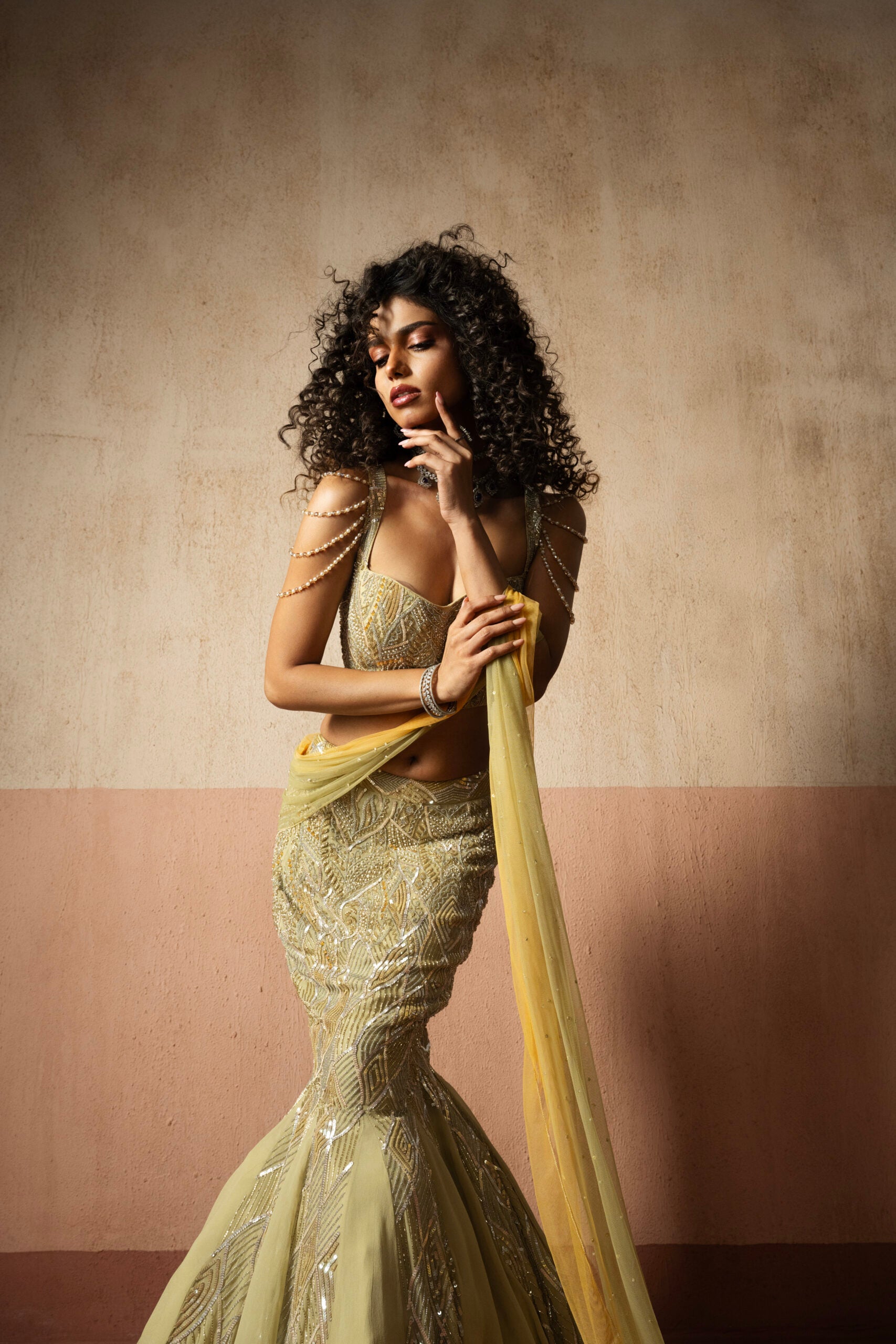 Fish Style Sage Green & Yellow Hand Embroidered Net and Georgette Fishtail Saree image 1