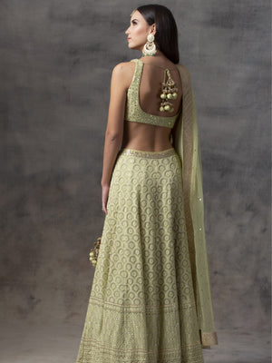 Mint Green Luckhnowi Lehenga image 1