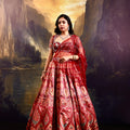 Noor Lehenga Set image 0