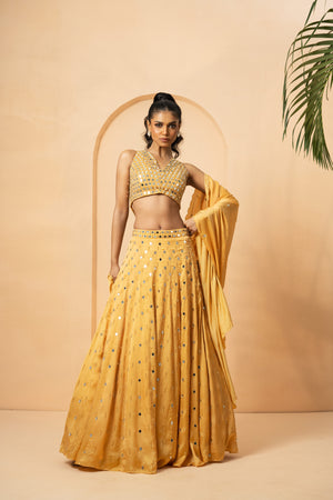 Golden Mirror and Pearl Embellished Lehenga - XS image