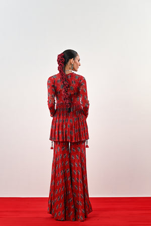 SCARLET ANARKALI SET image 1