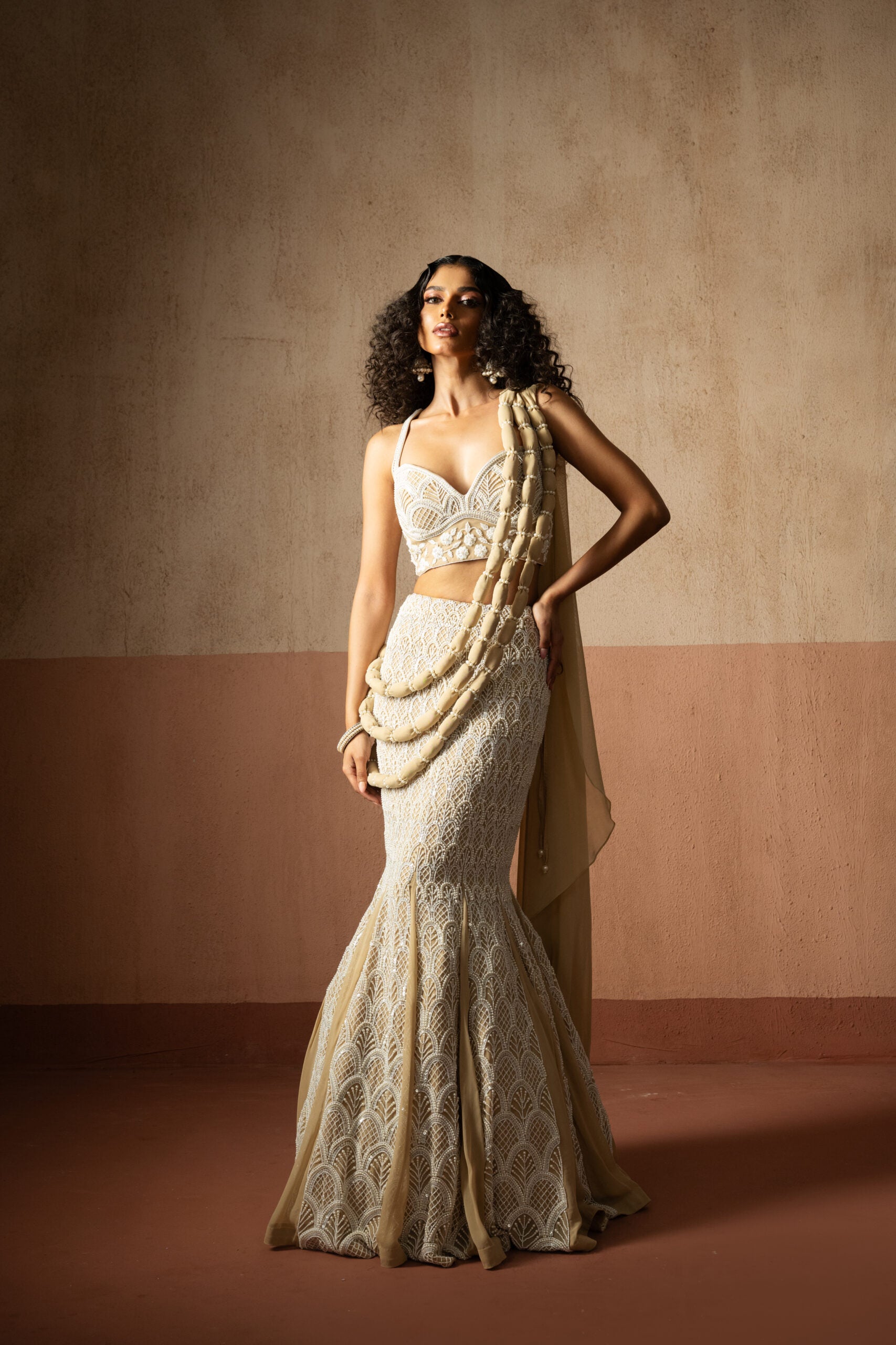 Fishtail Style Beige & Ivory Hand Embroidered Net & Georgette Fishtail Saree concept saree image 0