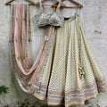 Pale Yellow Lehenga Set image 0