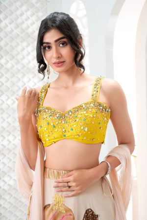 Baby Pink hand painted lehenga and embroidered  Yellow blouse set image 6