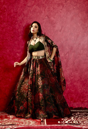 Naisha Lehenga Set image 5