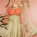 Banana Butti Scallop Lehenga Set with Melon Orange Blouse image 0