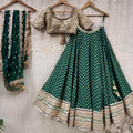 Green and Nude Lehenga Set image 0