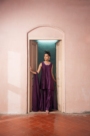 Jamuni Sharara Set - M image