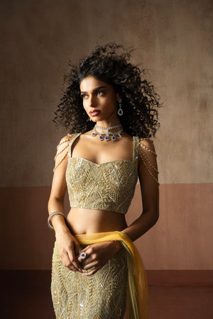 Fish Style Sage Green & Yellow Hand Embroidered Net and  Georgette Fishtail Saree image 2