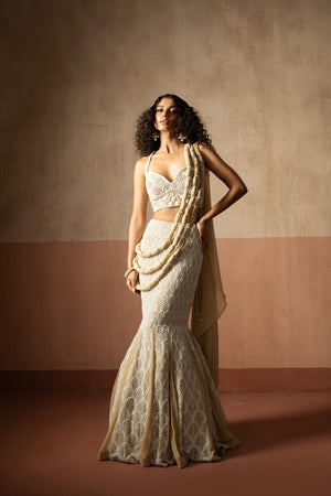 Fishtail Style Beige & Ivory Hand Embroidered Net & Georgette Fishtail Saree concept saree - M image