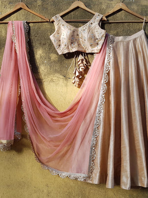 Beige Raw Silk Lehenga - L image