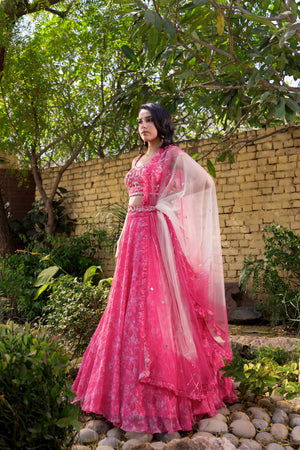 Pink Georgette &amp; Net Printed Lehenga Set - M image