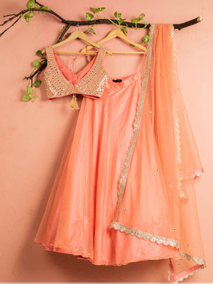 Melon Orange Lehenga Set image 1