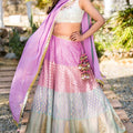 Pastel Panelled Lehenga with Mirror Work and Sequins Choli Set image 0