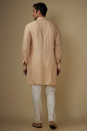 Light Pink Embroidered Kurta Set image 1