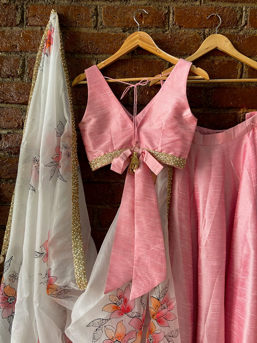 Pink and Ivory Hand Painted Lehenga Set image 1
