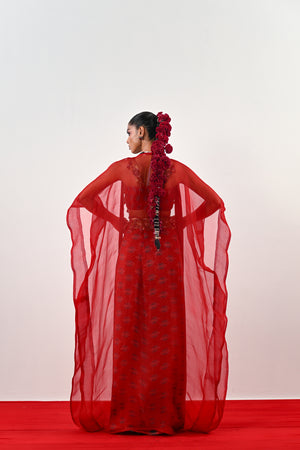 S DHOTI SET WITH EMBROIDERED BLOUSE AND ORGANZA JACKET image 5