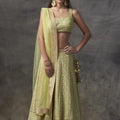 Mint Green Luckhnowi Lehenga image 0